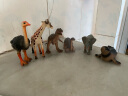 【精选】Wenno动物模型仿真恐龙玩具儿童认知玩具霸王龙肿头龙甲龙玩具模型野生动物园恐龙摆件玩具 三角龙 实拍图