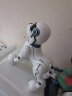 QiJi智能机器狗 儿童玩具男孩女程机器人故事机早教机 宝宝玩具777-5 晒单实拍图