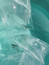 疯狂水草孔雀鱼活体水族宠物观赏鱼冷水耐活小型热带鱼淡水鱼苗 豹点孔雀鱼【共6条】 实拍图