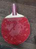 红双喜乒乓球拍4星四星狂飙王兵乓球学生初学者体育用品 R4006双面反胶直拍一只 实拍图