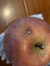 壹农壹果2023新苹果 红嘎啦苹果 65mm起 当季时令新鲜脆甜丑苹果水果 精选5斤装（净重4.5斤） 实拍图