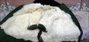 惜暖羊毛大衣男冬季皮毛一体羊皮外套真羊毛加厚保暖长款棉服棉衣东北 （草绿）长毛绵羊皮不可拆内胆 4XL 精选(加大180斤以上)送手套 实拍图