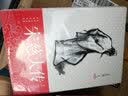 宋慈大传 实拍图