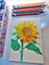 霹雳马（PRISMACOLOR）彩色铅笔 彩铅笔 单只黑色油性画笔 绘画写生 美国三福霹雳马PC935美术写生画画笔 实拍图