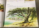 水彩的诀窍：Terry Harrison 教你画风景 实拍图