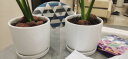 裕轩堂陶瓷花盆简约办公室绿萝吊兰文竹榕树室内多肉家用白色盆个性桌面 93006白（四个中号） 中等 实拍图