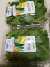 小汤山 小白菜 250g 基地直供新鲜蔬菜GAP认证 实拍图