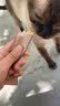 网易严选 海陆空盛宴猫条宠物零食猫湿粮成猫幼猫通用猫零食浓醇好肉营养 12g*6个 鸡肉+奶酪口味 48条装 实拍图