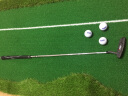 PGM 高尔夫练习器 室内高尔夫 迷你果岭练习毯 办公室家庭推杆练习器 0.75*3M+右手推杆/四色草 晒单实拍图