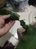 御卉阁 绿植盆栽花卉昙花苗  琼花苗 俗称月下美人 香味浓郁室内外盆栽 2年苗 实拍图