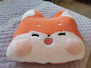 派客思加厚冬季抱枕被子两用午睡牛奶绒枕头被汽车载靠枕办公室空调被子 狐狸 45cm*40cm 大号(展开被子1.7*1.5米) 实拍图