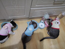 妙普乐0到3个月小猫咪衣服幼猫超小德绒双面绒秋冬保暖小奶猫 冬款【双面绒】[随机两件] XS (建议1-2斤) 实拍图
