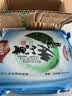 汪满田 2026年黄山炒青高山绿茶500g 春茶新茶上市云雾绿茶散装安徽茶叶 黄山特级高山炒青500g 实拍图