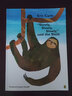 英文原版绘本 Eric Carle 艾瑞卡尔 Slowly Slowly Slowly Said the Sloth 慢点慢点树懒说 卡尔爷爷 常青藤爸爸推荐 绿山墙 实拍图