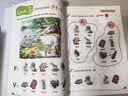 快捷英语 我的第一本自然拼读书 2 Wing Wing Phonics 2 开学季 实拍图