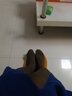 浪莎丝袜女春秋款单加裆连裤袜打底裤袜光腿神器防勾丝天鹅绒 黑色+灰色 均码 【120D不透适合10-20度】 实拍图