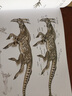 国际插画大师惠特拉奇的动物画教程：创造奇幻生物的法则 实拍图