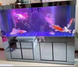 江彩鱼缸客厅大型水族箱落地隔断墙家用办公室底过滤超白玻璃鱼缸定制 0.8米普高（80x30x145cm） 实拍图