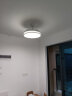 雷士（NVC） 风扇灯餐厅吊扇灯隐形扇叶电风扇灯现代简约卧室客厅餐厅吊灯 怡风42寸丨60W高显指丨一级能效 实拍图