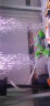博特（BOX&WATER）cherlam彻朗氧气泵鱼缸增氧泵大功率大气量家用冲打氧泵纳米气盘 彻朗【3.8W】双孔气泵【裸泵】带调节键 实拍图