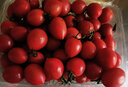 千朵云电白千禧圣女果小番茄正宗玲珑番茄甜千玺圣女果新鲜轻食水果 精选圣女果 带箱3斤 实拍图