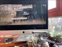 苹果 Apple imac 二手苹果一体机电脑台式机 21.5/27英寸 4K/5K 办公设计剪辑 京选电脑 | 一机一检 21寸K23【i3-16G-512闪存】独显2G 实拍图