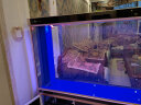 森森（SUNSUN）鱼缸水族箱客厅玻璃金鱼缸生态缸底滤家用缸 高清玻璃 1.5米长36宽92缸高 隔断屏风款 晒单实拍图