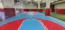 欧百娜篮球场地胶室内专用pvc塑胶运动地板防滑减震木纹篮球场地垫 升级金枝纹4.5mm 晒单实拍图