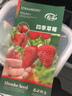 寿禾草莓苗带土发货大苗寿禾苗场四季带盆栽好秋季批发奶油秧苗 种苗套餐 红颜草莓1盆+200粒种子 实拍图