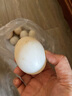 我老家 新鲜生鹅蛋 农家散养大鹅蛋 孕妇宝宝营养辅食鲜鹅蛋 12枚装 单枚100g-120g 实拍图
