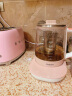 飞利浦养生壶HD9370家用全自动玻璃多功能炖燕窝煮茶器美颜小粉壶1.5L HD9370/51 实拍图