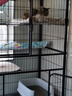 憨憨宠 猫笼 大号方管猫笼子家用带厕所猫屋猫舍猫别墅繁殖笼幼猫成猫笼 黑色 四层置物架140款猫笼 实拍图