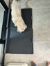 华元宠具（hoopet）狗厕所大型犬金毛一体式中小型犬泰迪不湿脚防踩屎宠物狗狗便屎盆 雾霾灰双大号(100斤内狗狗) 实拍图