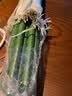 余霞成绮菜园黄瓜爬藤架花架葡萄架子阳台豆角架植物园艺花支架固定支撑杆 直径11mm长度120cm20支 中等 实拍图