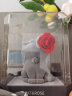 Cat&Rose永生花猫咪礼盒生日礼物送女友闺蜜情人节表白玫瑰花真花家居摆件 晒单实拍图