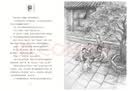 将军胡同（精装版，入选2015年度“中国好书”，荣获全国优秀儿童文学奖，中华优秀出版物奖，作家史雷的心血之作8-14岁适读） 暑期阅读 课外推荐 实拍图