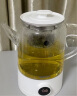 帕米（PAMI）养生壶煮茶器蒸汽喷淋式蒸茶壶电水壶热水壶茶具烧水壶F66 白色 实拍图