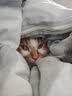 可噜噜猫砂4包2.4kg原生纯豆腐原味奶香除臭低尘膨润土矿土 混合砂 【口碑款】混合砂1袋2.4kg 整箱 实拍图