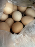 我老家新鲜大鹅蛋 农家自养土鹅蛋 现捡现发 鹅蛋12枚(1200g) 实拍图