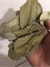 番石榴叶干货500g克中药材 潘石榴红心芭乐叶番石榴干叶子泡茶泡水 番石榴叶250g*1罐 实拍图