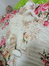 超大猫窝猫抓板一体耐磨不易掉屑猫咪窝磨爪耐抓保护沙发防猫抓圆形猫爪盆猫玩具 大号椭圆碗+钢丝逗猫棒椭圆48*34 实拍图