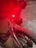 猫眼（CATEYE） 自行车灯尾灯夜骑安全警示灯山地车骑行装备 黑色尾灯（电池式） 实拍图