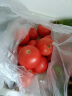 金百粟陕西泾阳普罗旺斯西红柿 生吃沙瓤西红柿番茄农家自种时令生鲜 普罗旺斯西红柿 4.5斤 实拍图