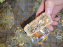 多香园 广式月饼老式五仁月饼中秋黑芝麻豆沙多口味传统手工糕点散装 （板栗月饼）建议拍2份500g5个装 实拍图