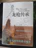 龙枪传奇1：时空之卷 实拍图