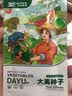 大禹懒汉西瓜种子苗特大适合南方早熟懒人8424麒麟瓜美都无籽水果蔬菜 冰糖麒麟西瓜种子20g装 脆甜 实拍图