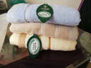 洁丽雅毛巾  成人纯棉面巾 易拧速干家用洗脸 家庭装新疆棉大毛巾组合 随机色3条 实拍图
