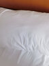 钱皇丝绸牡丹花纹枕芯10%桑蚕丝枕头枕芯婚庆舒适温馨粉枕头芯护颈枕 牡丹-白 单只 中枕 实拍图