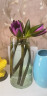 墨斗鱼 玻璃花瓶北欧轻奢桌面摆件创意水培植物富贵竹植物百合插花雅绿金色描边0425 晒单实拍图