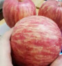 桃李村山东烟台红富士苹果新鲜应季水果冰糖心苹果丑苹果 礼盒装 5斤实惠装 晒单实拍图